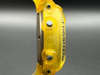 Casio G-Shock Frogman DW-8200 Titanio