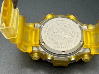 Casio G-Shock Frogman DW-8200 Titanio