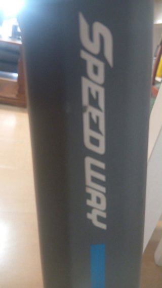 Patinete Eléctrico Smartgyro Speedway