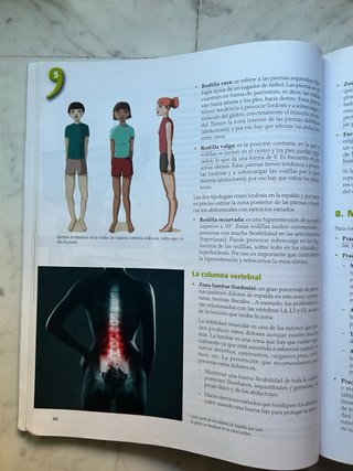 Libro de Educación Física de Bachillerato