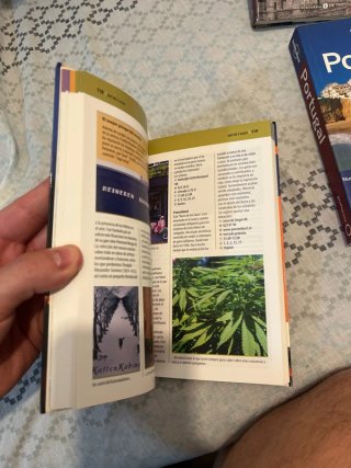 Amsterdam - Lonely Planet Guía en español