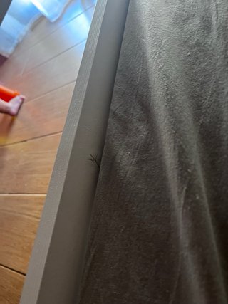 Cama casa blanca infantil