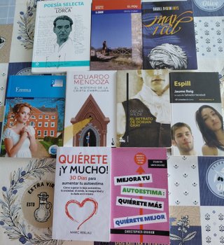 Libros de lectura. 5 € cada uno. Lote completo 25