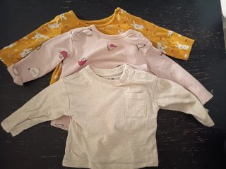 Lote 3 camisetas manga larga bebé