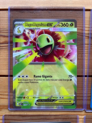 Lote Cartas Pokémon Jumbo XXL