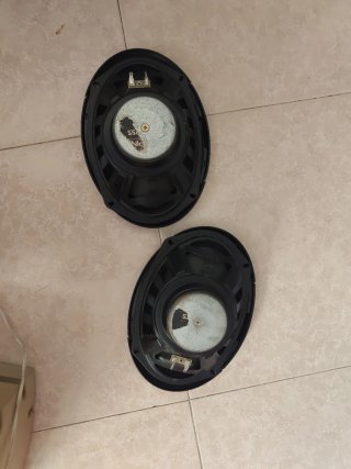 Altavoces Alpine Ovalados