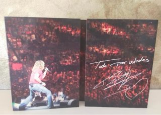 DVD David Bisbal Todo Por Ustedes Concierto