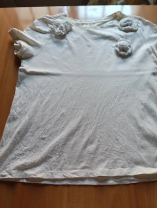 Varias camisetas talla L por 5 euros