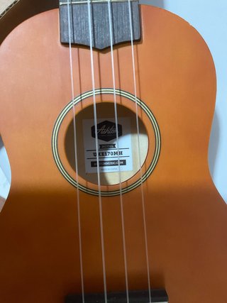 Ukelele Ashton 170