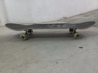 Skate Hydroponic
