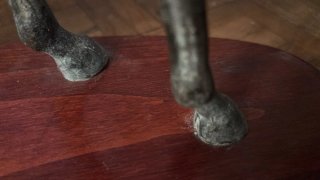 Caballo de Bronce