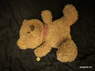 Peluche Urso Marrom