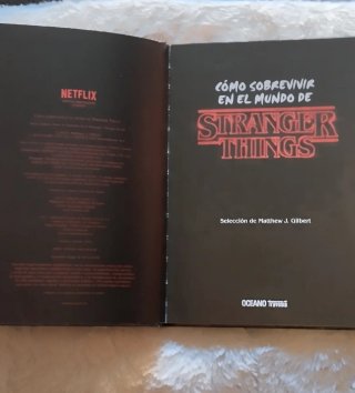 Stranger Things libro