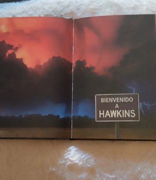 Stranger Things libro