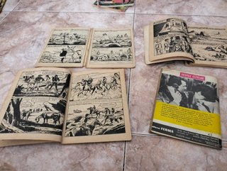 Lote Novelas Ilustradas