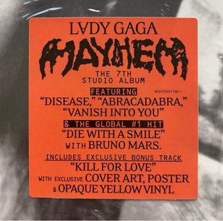 DOBLE VINILO  LADY GAGA   EDICION TARGET USA