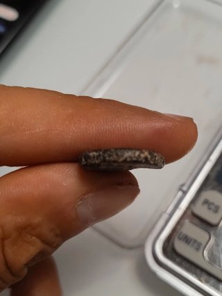 Moneda Griega Reino Seleucida Seleukos