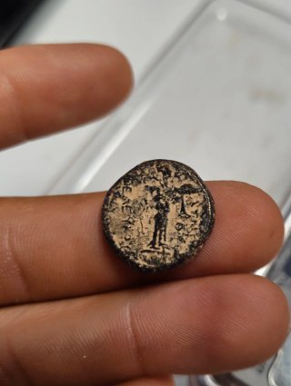 Moneda Griega Reino Seleucida Seleukos