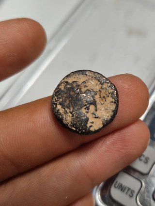 Moneda Griega Reino Seleucida Seleukos