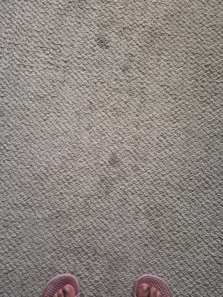 Alfombra beige y marrón
