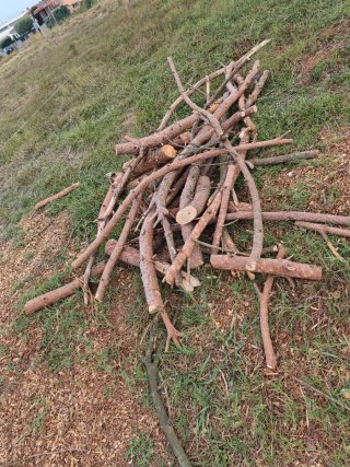 Leña de pino y acacia