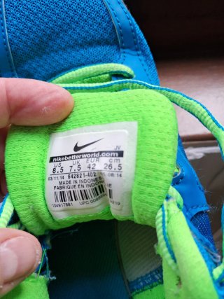 Zapatillas Nike Dual Fusion Lite 2