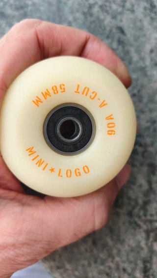 Skate Pro Mini-Logo 8.25 Independent Hollow trucks