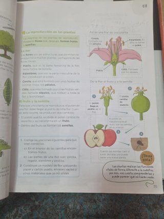 Ciencias de la naturaleza anaya 3 primaria