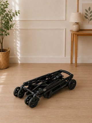 Silla de paseo Inglesina Ottuto