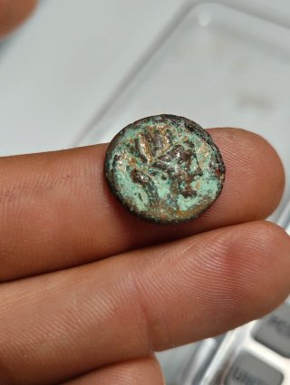 Moneda Romana Siria Apamea Antigua