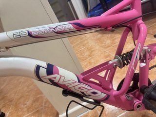 Bicicleta Infantil Avigo Downhill 20