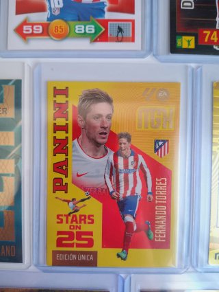 Colección cromos At. Madrid: Fernando Torres MGK.