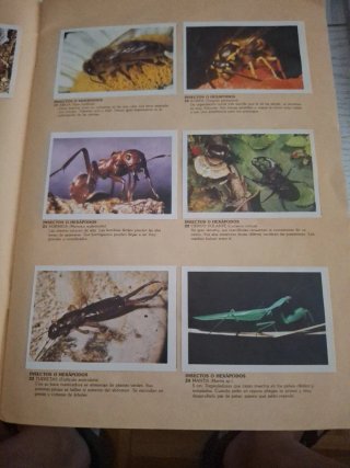 Album Animales de Todo el Mundo