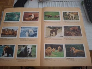 Album Animales de Todo el Mundo