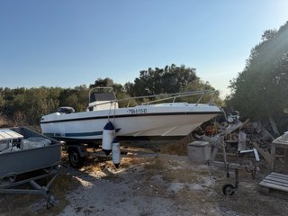 Barco 5m con motor fueraborda