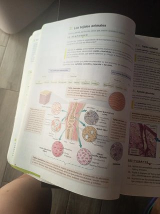 Libro texto