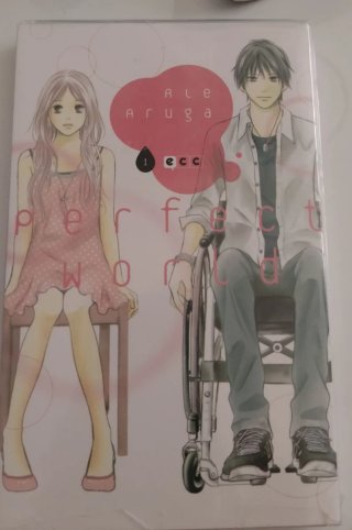 Tomo uno del manga perfect world