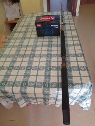 Carrete Penn Senator 6/0 + Caña 20/40 lbs