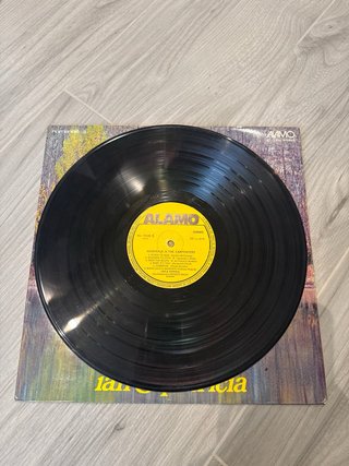 Vinilo Carpenters - Ian & Patricia