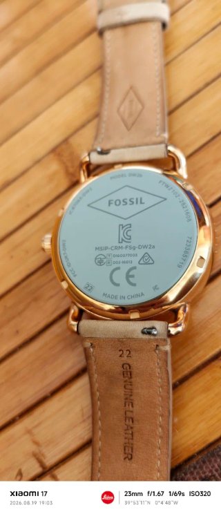 Smartwatch Fossil Q Wander Oro Rosa