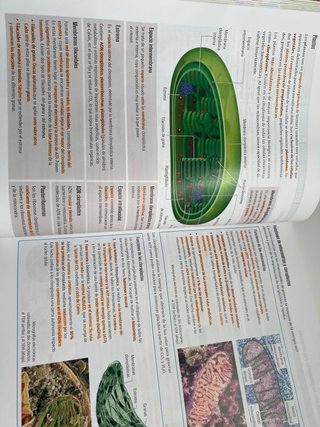 Libro de biología 2 de bachillerato