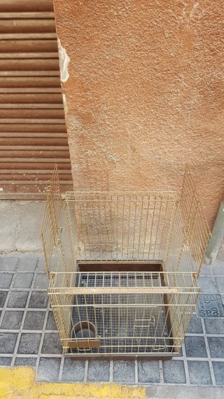 Jaula para loro dorada y marrón