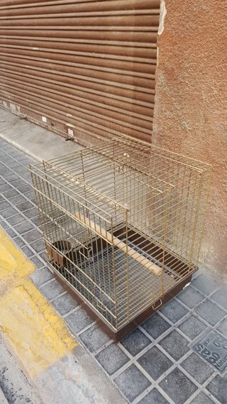 Jaula para loro dorada y marrón