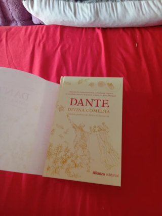 Libro divina comedia Dante