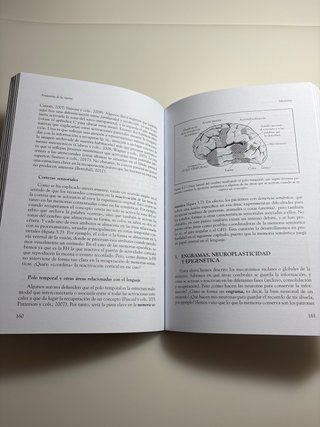 Anatomía de la Mente