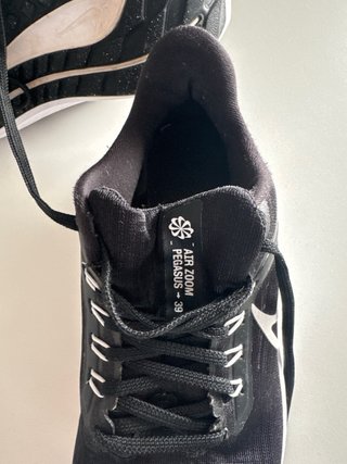 Nike Pegasus