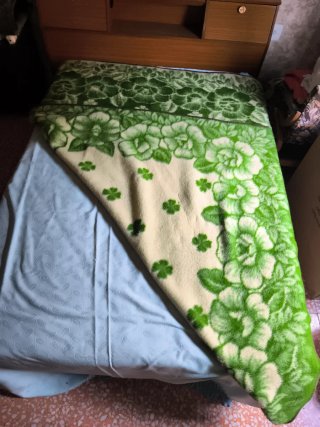 Manta verde y beige con estampado floral