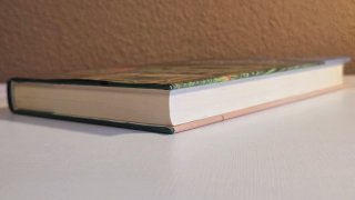 Libro realismo mágico "El baile de las lagartijas"