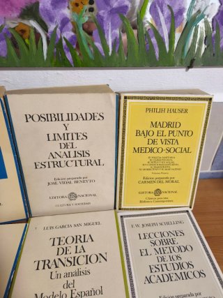 Lote 9 Libros Cultura y Sociedad