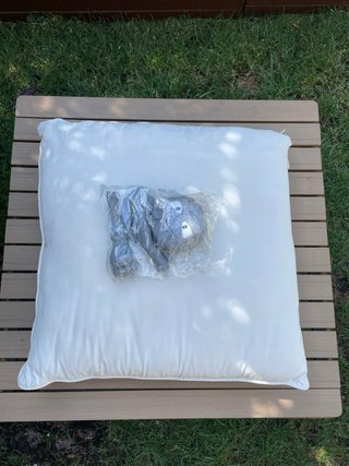 Percha Geodude Pokémon